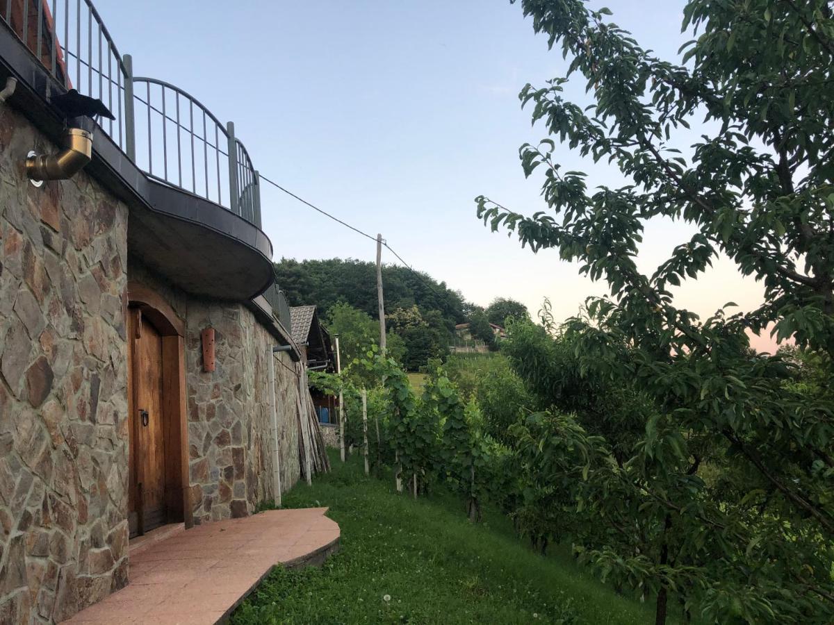 Vineyard Cottage Janko & Metka Otočec Extérieur photo