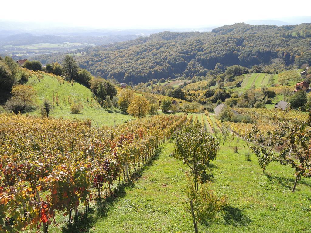 Vineyard Cottage Janko & Metka Otočec Extérieur photo